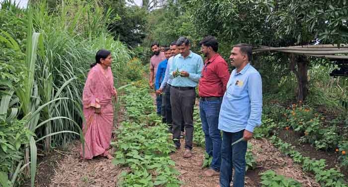 Herbal Farming