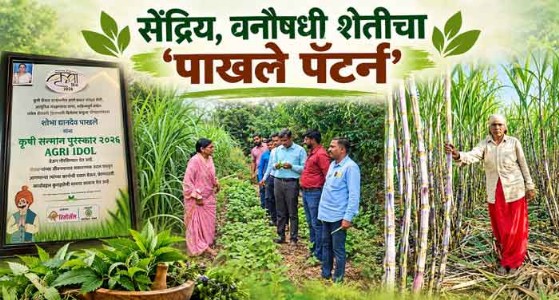 सेंद्रिय, वनौषधी शेतीचा ‘पाखले पॅटर्न’