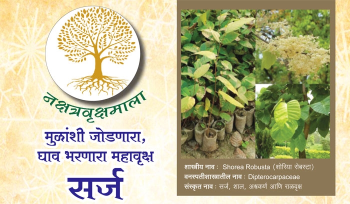 nakshatra vriksha